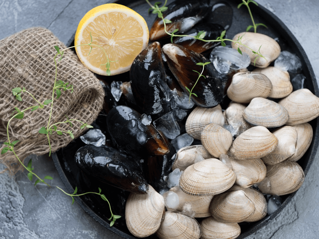 mussels vs clams